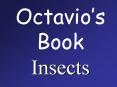 Octavios Book Insects
