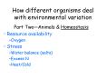 How different organisms deal with environmental variation