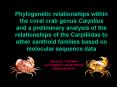 Phylogenetic relationships within the coral crab genus Carpilius and a preliminary analysis of the r