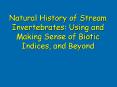 Natural History of Stream Invertebrates: Using and Making Sense of Biotic Indices, and Beyond