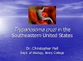 Trypanosoma cruzi in the Southeastern United States