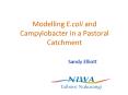 Modelling E'coli and Campylobacter in a Pastoral Catchment
