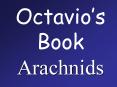 Octavios Book Arachnids
