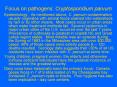Focus on pathogens: Cryptosporidium parvum