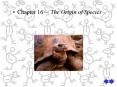 Chapter 16 The Origin of Species