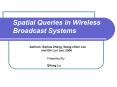 Spatial Queries in Wireless Broadcast Systems
