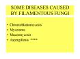 SOME DISEASES CAUSED BY FILAMENTOUS FUNGI