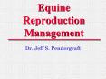 Equine Reproduction Management