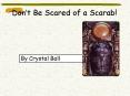 Dont Be Scared of a Scarab