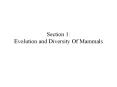 Evolution and Diversity Of Mammals