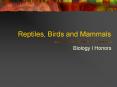 Reptiles, Birds and Mammals