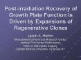 Postirradiation Recovery of Growth Plate Function is Driven by Expansions of Regenerative Clones