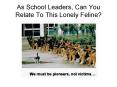 As School Leaders, Can You Relate To This Lonely Feline