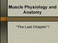 Muscle Physiology and Anatomy