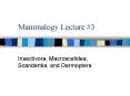 Mammalogy Lecture