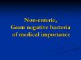 Nonenteric, Gram negative bacteria of medical importance