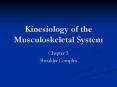 Kinesiology of the Musculoskeletal System
