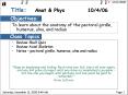 Review Skull Quiz