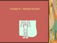 Chapter 8 Skeletal System