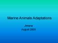 Marine Animals Adaptations