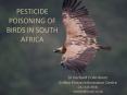 PESTICIDE POISONING OF BIRDS IN SOUTH AFRICA