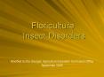 Floriculture Insect Disorders