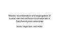 Meiotic recombination and segregation of humanderived artificial chromosomes in Saccharomyces cerevi