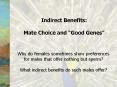 Indirect Benefits: