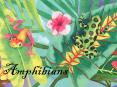 Amphibians