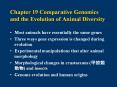 Chapter 19 Comparative Genomics and the Evolution of Animal Diversity