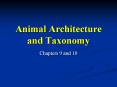 Animal Architecture and Taxonomy