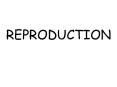 REPRODUCTION