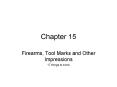 Firearms, Tool Marks and Other Impressions