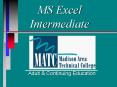 MS Excel Intermediate