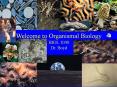 Welcome to Organismal Biology BIOL 1030 Dr' Boyd