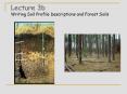 Lecture 3b Writing Soil Profile Descriptions and Forest Soils