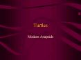Turtles