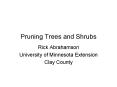 Pruning Trees and Shrubs