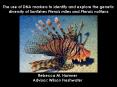 The use of DNA markers to identify and explore the genetic diversity of lionfishes Pterois miles and