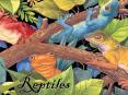 Reptiles