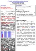 in this study a demanding verbal working memory task the p