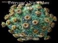 Everyones Night Mare HIV