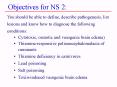 Objectives for NS 2: