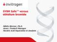 SYBR Safe versus ethidium bromide