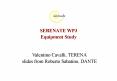 SERENATE WP3 Equipment Study