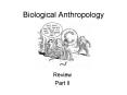 Biological Anthropology