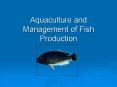 Aquaculture and Management of Fish Production