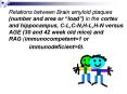 Relations between Brain amyloid plaques number and area or load in the cortex and hippocampus, CL,CN