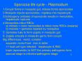 Sporozoa life cycle Plasmodium