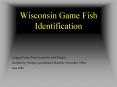 Wisconsin Game Fish Identification